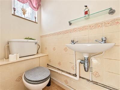 Picture 9